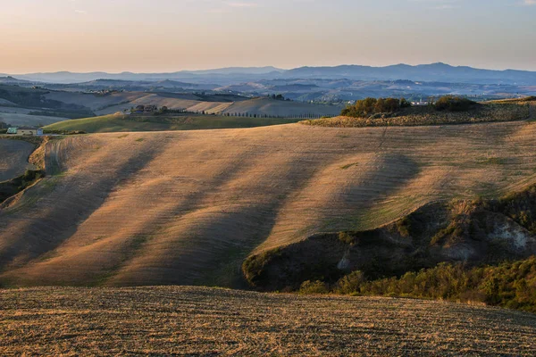 Landscape of the Siena hills at sunset — Stock Photo, Image