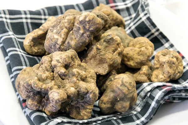 Grains of Alba white truffle