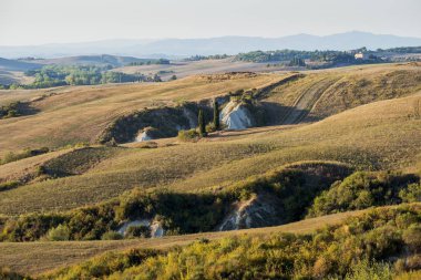 Siena tepelerinde yaz sonlarında ekilen tarlalar.