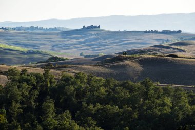 Siena tepelerinde yaz sonlarında ekilen tarlalar.