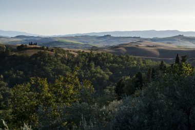 Siena tepelerinde yaz sonlarında ekilen tarlalar.