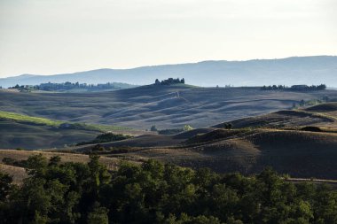 Siena tepelerinde yaz sonlarında ekilen tarlalar.