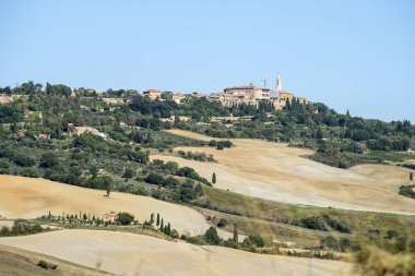 Siena tepelerinde yaz sonlarında ekilen tarlalar.