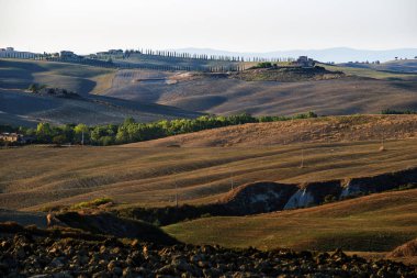 Siena tepelerinde yaz sonlarında ekilen tarlalar.