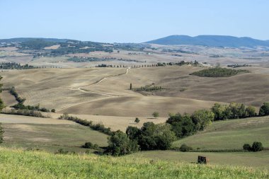 Siena tepelerinde yaz sonlarında ekilen tarlalar.