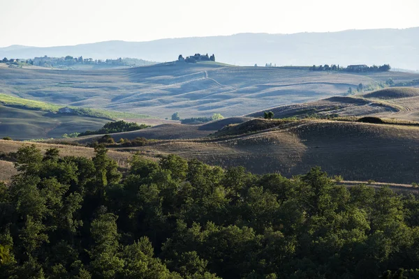 Velden geteeld in de late zomer op de Sienese heuvels — Stockfoto