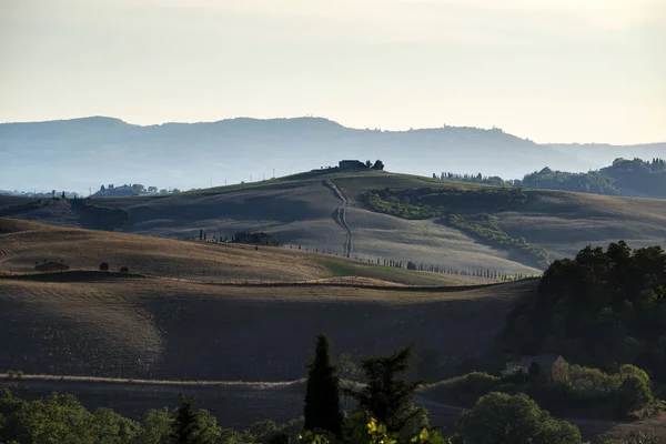 Fields cultivated in late summer on the Sienese hills — 스톡 사진