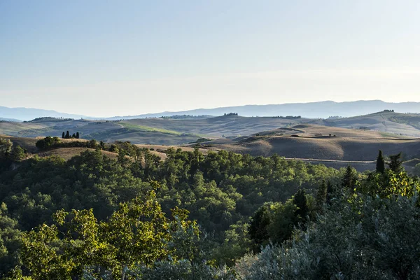 Fields cultivated in late summer on the Sienese hills — 스톡 사진