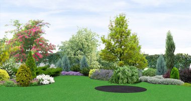 Yeşil, 3d render arka bahçe dikim