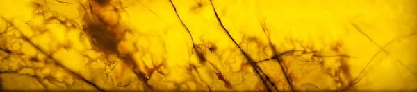 Oniks taş kaplama, doku eşleminin 3B grafikler için. Vektör illustrat