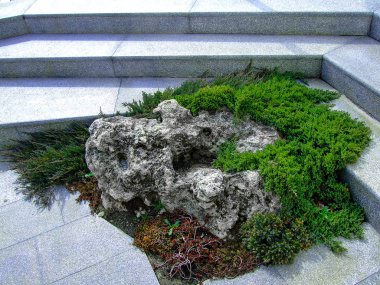 Bahçe adımları Park yeşil vurgu.