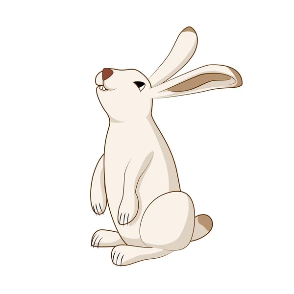 Rabbit, cute hare, bunny isolated vector illustration — Stock Vector