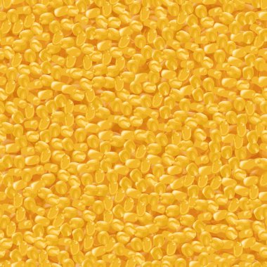 Mısır Mısır tahıl toplu vektör seamless modeli. Gerçekçi illüstrasyon.