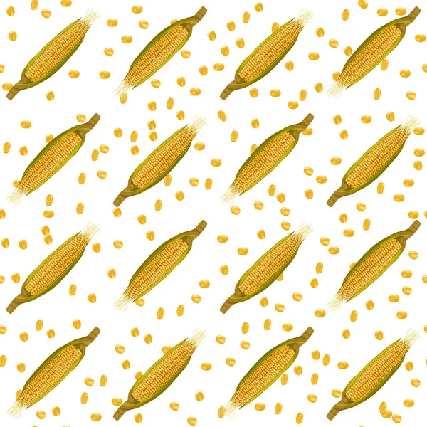 Kukorica kukorica vektor varrat nélküli mintát. Reális botanikai illusztráció. — Stock Vector