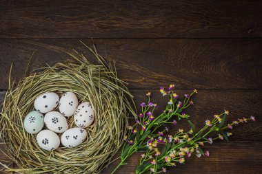 Üstten Görünüm Paskalya arka plan. Mutlu Paskalya yumurta yuva üzerinde de boyalı
