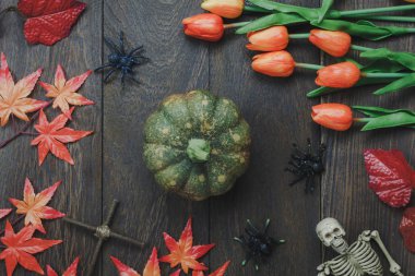 Dekorasyon işaret mutlu Halloween Festivali görünümünü arka plan kavramı.