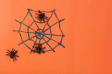 İşaret mutlu Halloween festival arka plan kavramı görünümünü yukarıda. Temel nesne üzerinde modern rustik turuncu masa ahşap ev dekorasyon ile tepesinde. Gerekli öğeler için sezon süsleme.