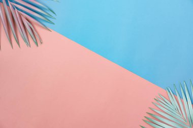 Yaz tatili arka plan kavramının hava görüntüsü. Düz konum hindistan cevizi veya palmiye renkli yaprak modern rustik pembe ve mavi kağıt pastel arka kaplama. Yaratıcı tasarım için alan maketi.