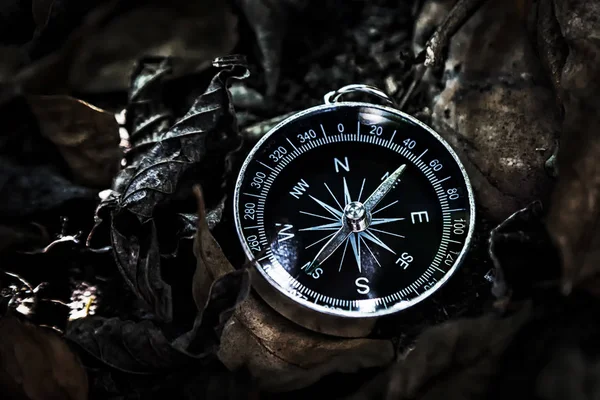 Magnetický kompas ležící na zemi pokrytý suchými listy — Stock fotografie
