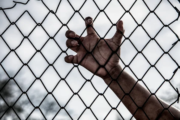 Hand with mesh cage, Hands with steel mesh fence. — Stock Photo, Image