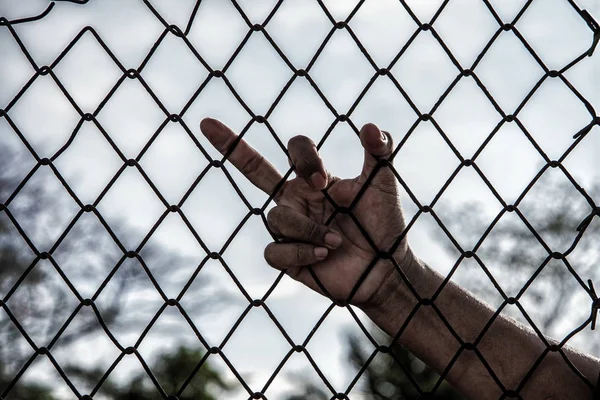 Hand with mesh cage, Hands with steel mesh fence. — Stock Photo, Image