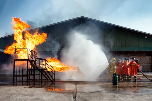 The Employees Annual training Fire fighting — Stock Photo, Image