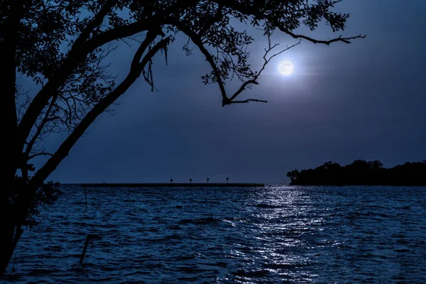Paisagem noturna. Praia à beira-mar com árvore e lua cheia., o oceano luar à noite com ondas e reflexão de água . Imagens Royalty-Free
