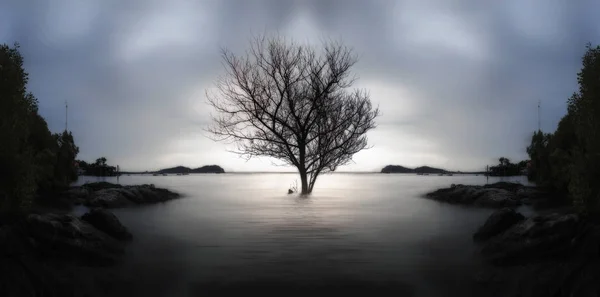 Uma Árvore Morta Solitária Parcialmente Submersa Mar Pôr Sol Conceito Fotografias De Stock Royalty-Free