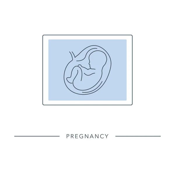 Vector fetus icon in linear style. — Stock Vector