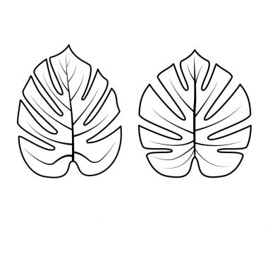 Tropikal yaprak koleksiyonu. Vektör çizim.