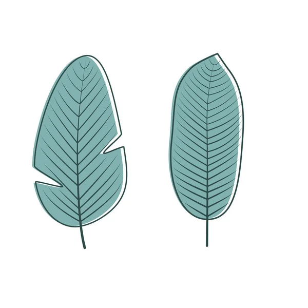 Коллекция тропических листьев. Векторная иллюстрация . — стоковый вектор