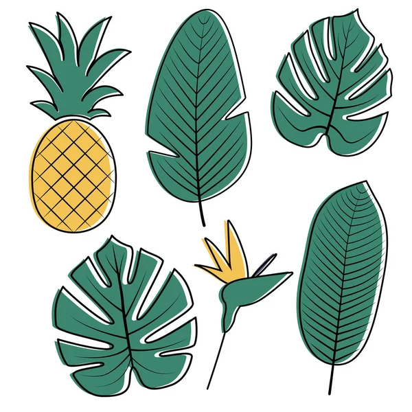 Tropikal yaprak koleksiyonu. Vektör çizim. — Stok Vektör