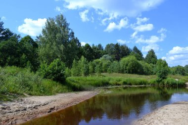 Orman Nehri ile peyzaj