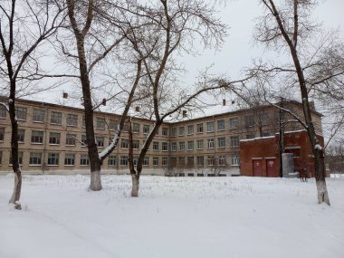 Kış bahçesinde ağaçlar