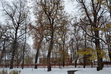 Sonbahar ve kış eşiğinde