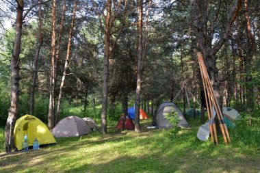 Ormanda bir açıklıkta kampı