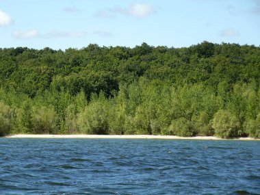 Gökyüzü, orman ve su