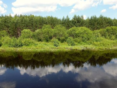 Orman Nehri'nin büyüleyici Genişlik