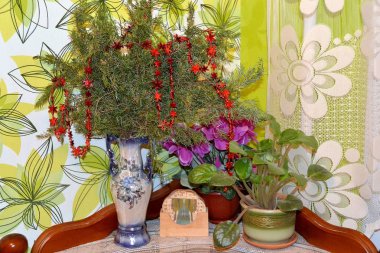 Natürmort mutfak koltuk köşe ucunda / dekorasyon kanepenin arkasında Binası