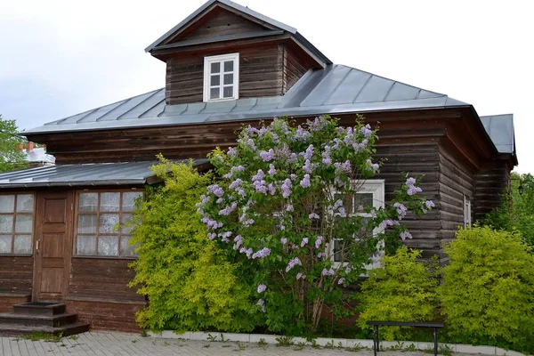 A wooden house with an attic and a lilac Bush in front of it
