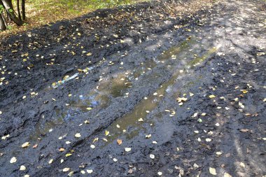 Orman yolundaki yağmurdan sonra aşılmaz çamur ve su birikintisi