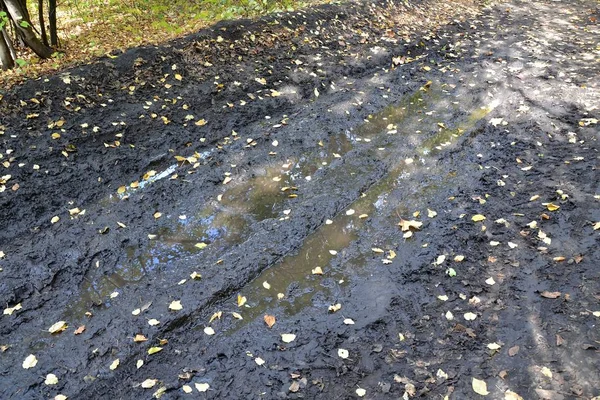森の道の雨の後に浸透できない泥や水たまり — ストック写真