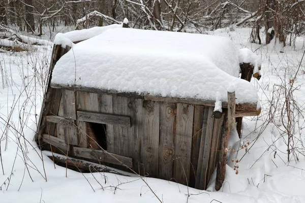 動物の秘密の監視のためにその側小屋に落ちた — ストック写真