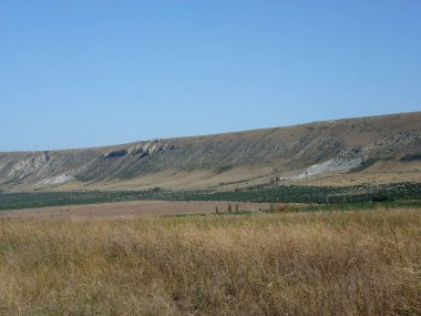Ağaçsız bir bayırın eteğindeki Kırım bağları