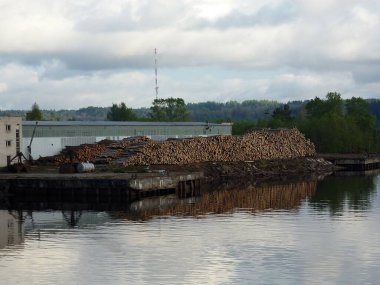 Nehir rıhtımında depolanmış kütükler