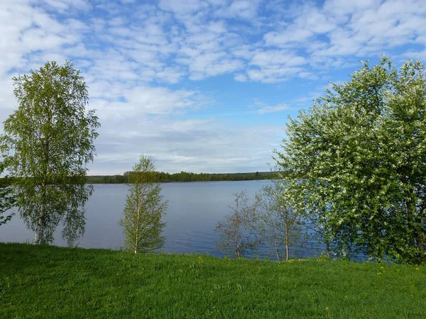 Paisajes Del Bayou Del Lago Ladoga Cerca Isla Kizhi — Foto de Stock