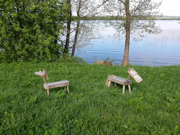 Dřevěné Figurky Koní Zelené Louce Řeky — Stock fotografie