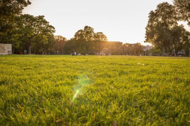 İnsanlar'ın bahçesinde