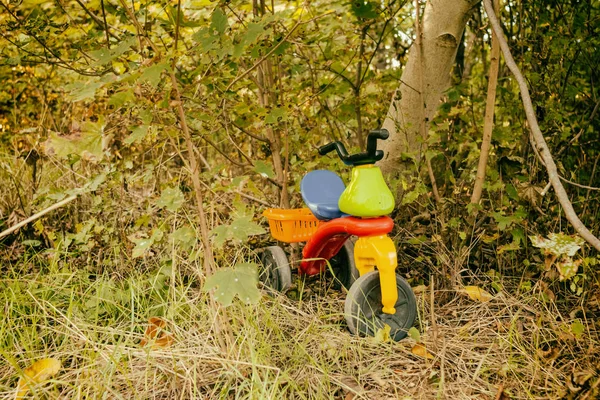 Brinquedo abandonado na floresta — Fotografia de Stock