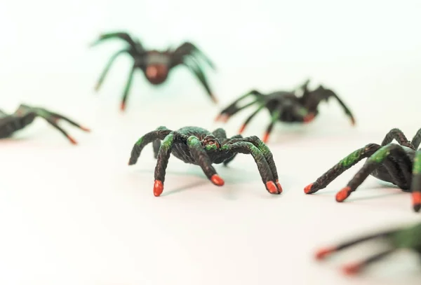 Many toy plastic spiders on white backdrop — Stock Photo, Image